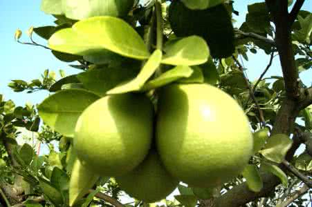 爱体育APP案例展示一