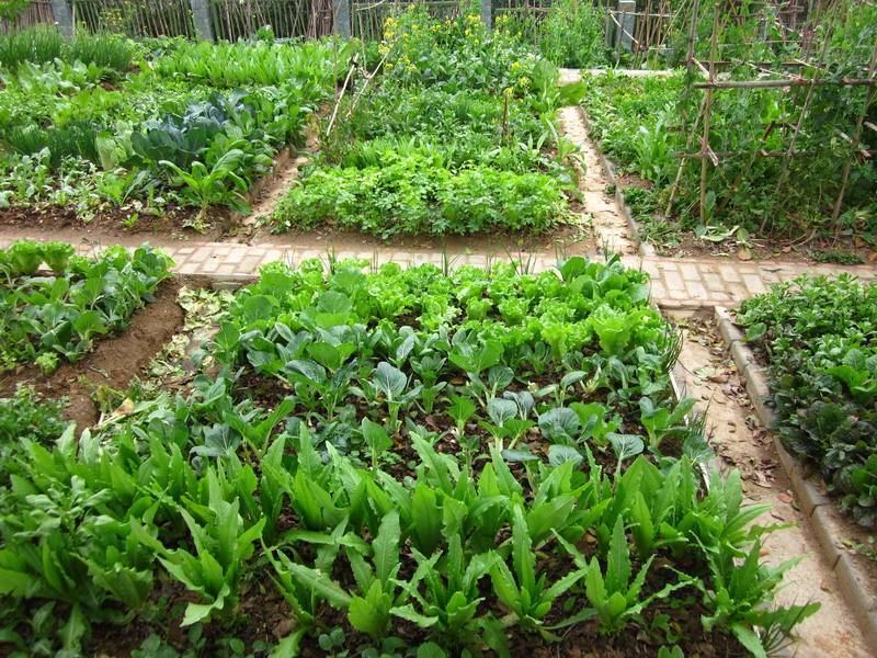 爱体育APP案例展示五